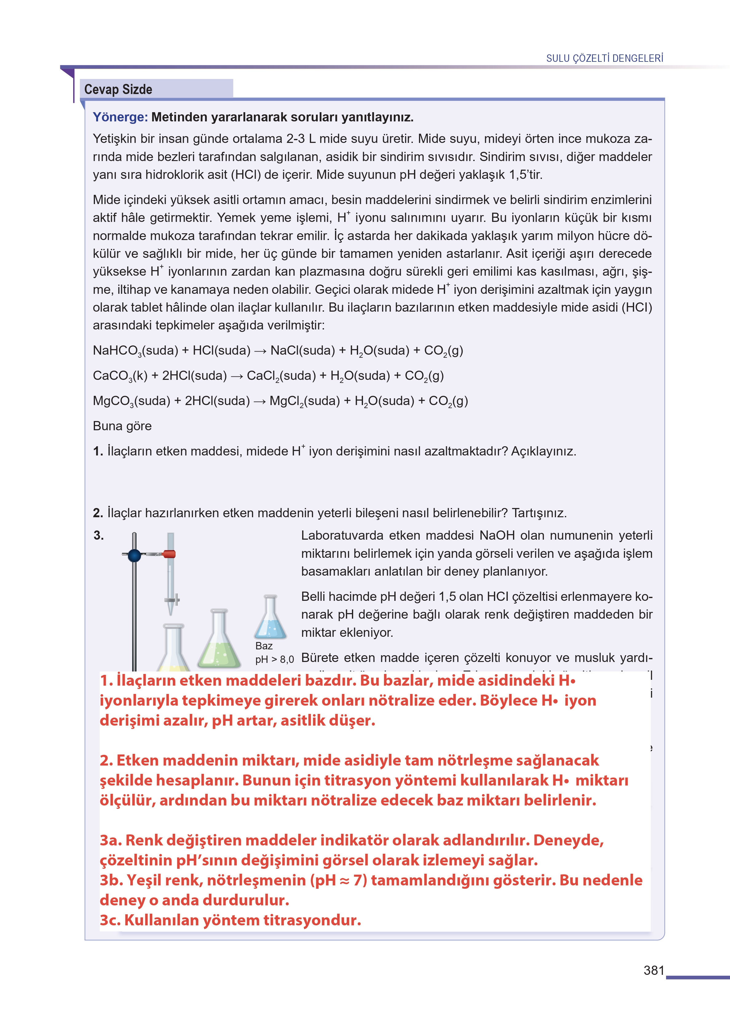 11. Sınıf Meb Yayınları Fen Lisesi Kimya Ders Kitabı Sayfa 381 Cevapları