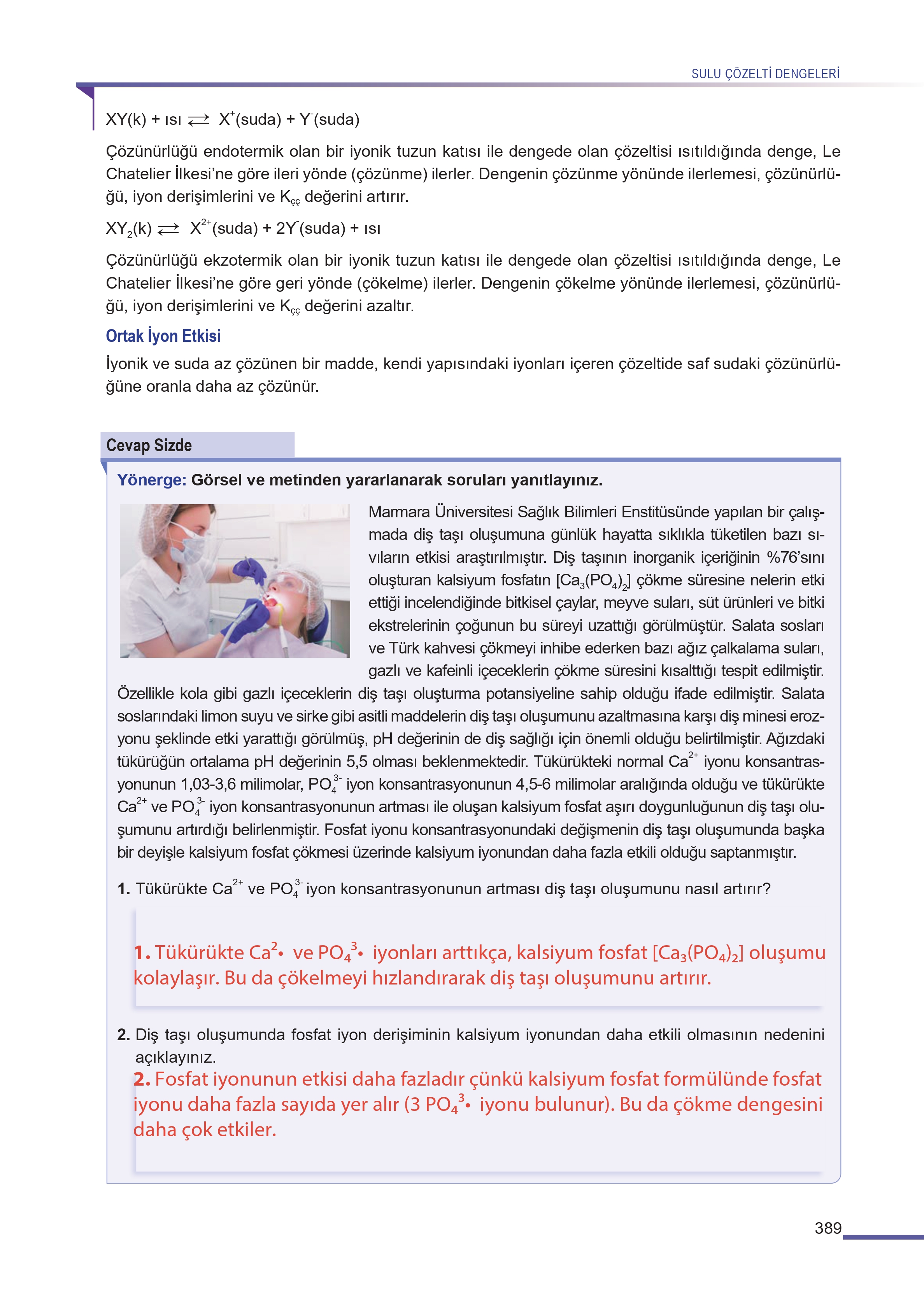 11. Sınıf Meb Yayınları Fen Lisesi Kimya Ders Kitabı Sayfa 389 Cevapları