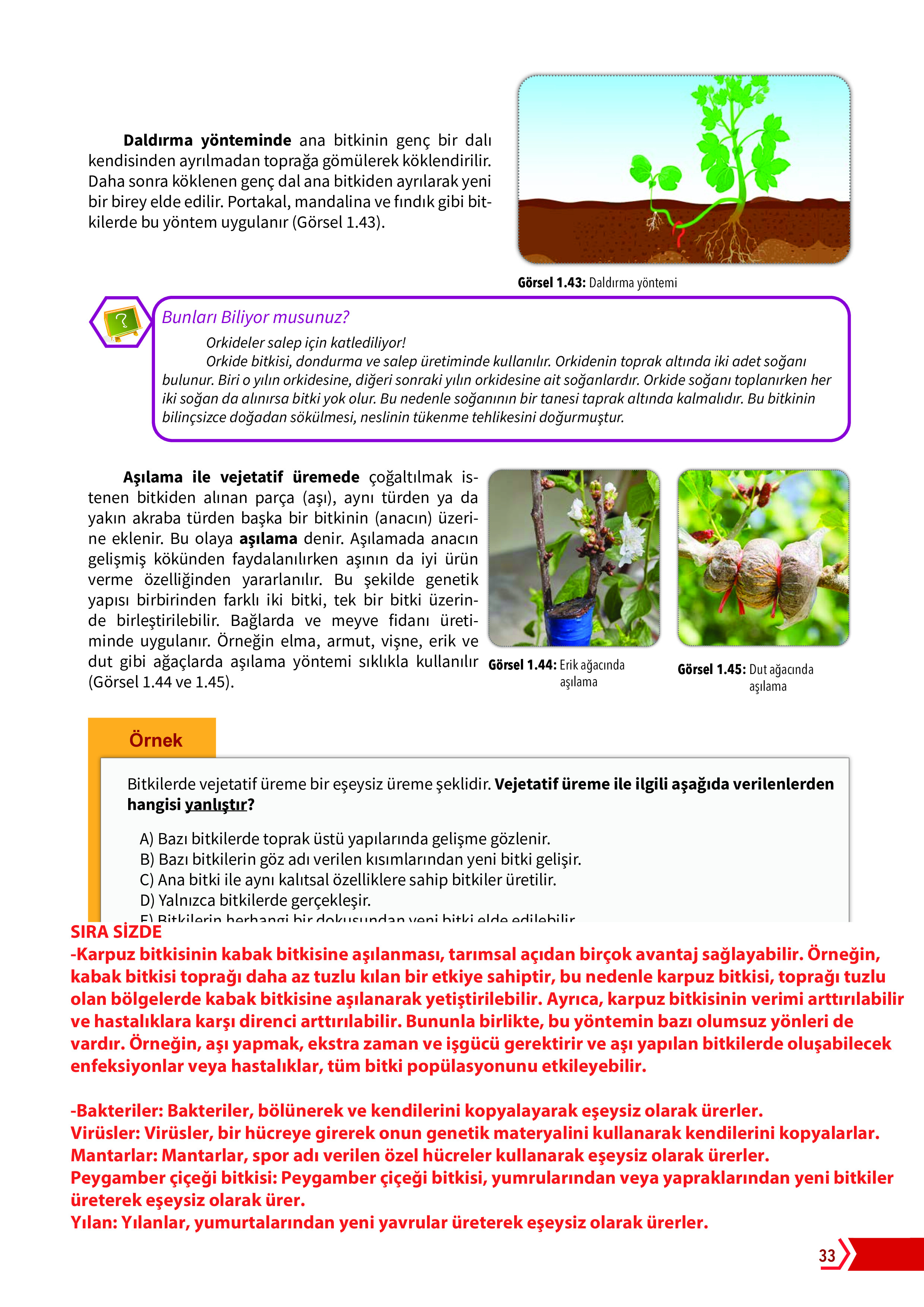 10. Sınıf Meb Yayınları Fen Lisesi Biyoloji Ders Kitabı Sayfa 33 Cevapları 10. Sınıf Meb Yayınları Fen Lisesi Biyoloji Ders Kitabı Sayfa 33 Cevapları