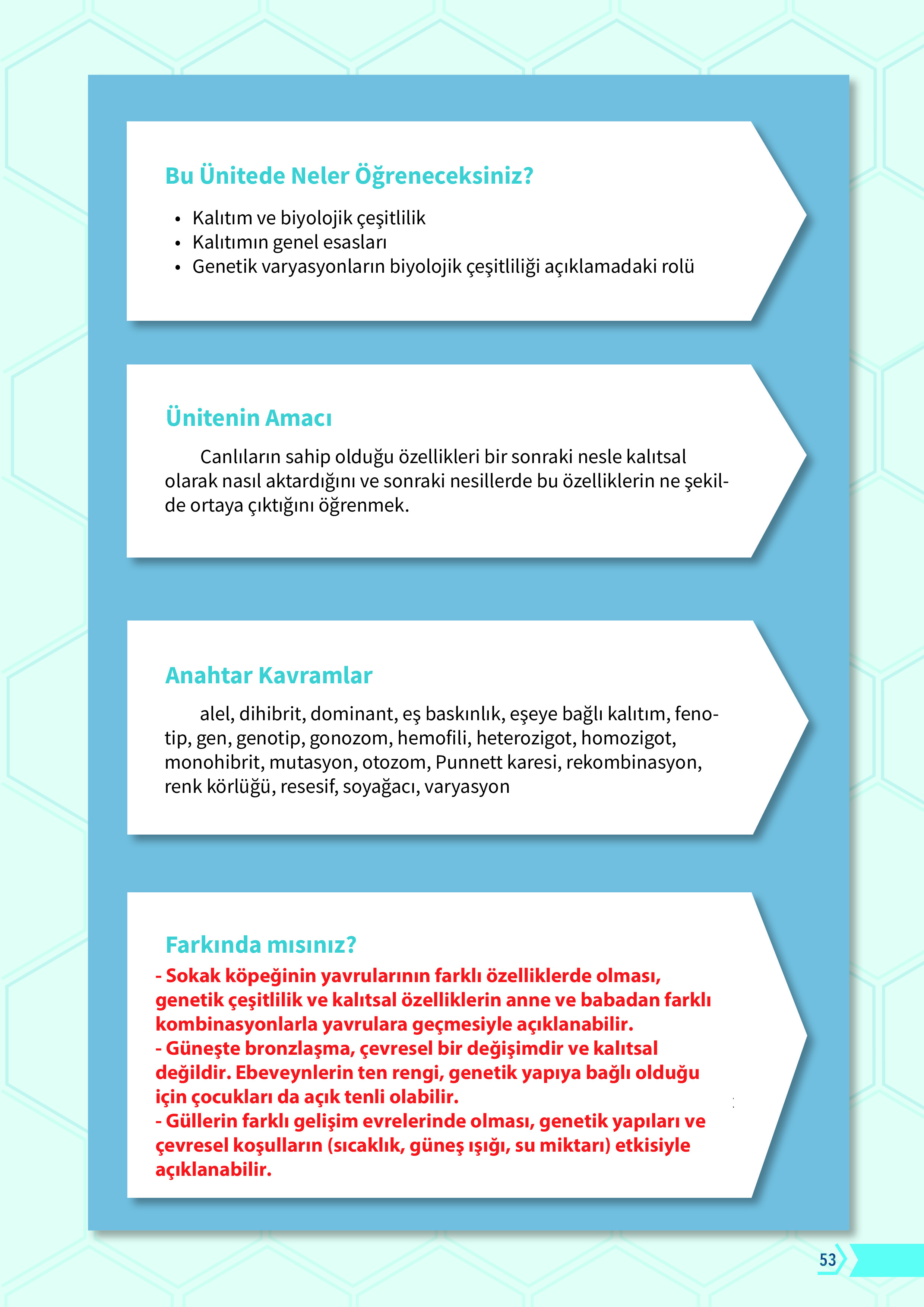 10. Sınıf Meb Yayınları Fen Lisesi Biyoloji Ders Kitabı Sayfa 53 Cevapları 10. Sınıf Meb Yayınları Fen Lisesi Biyoloji Ders Kitabı Sayfa 53 Cevapları