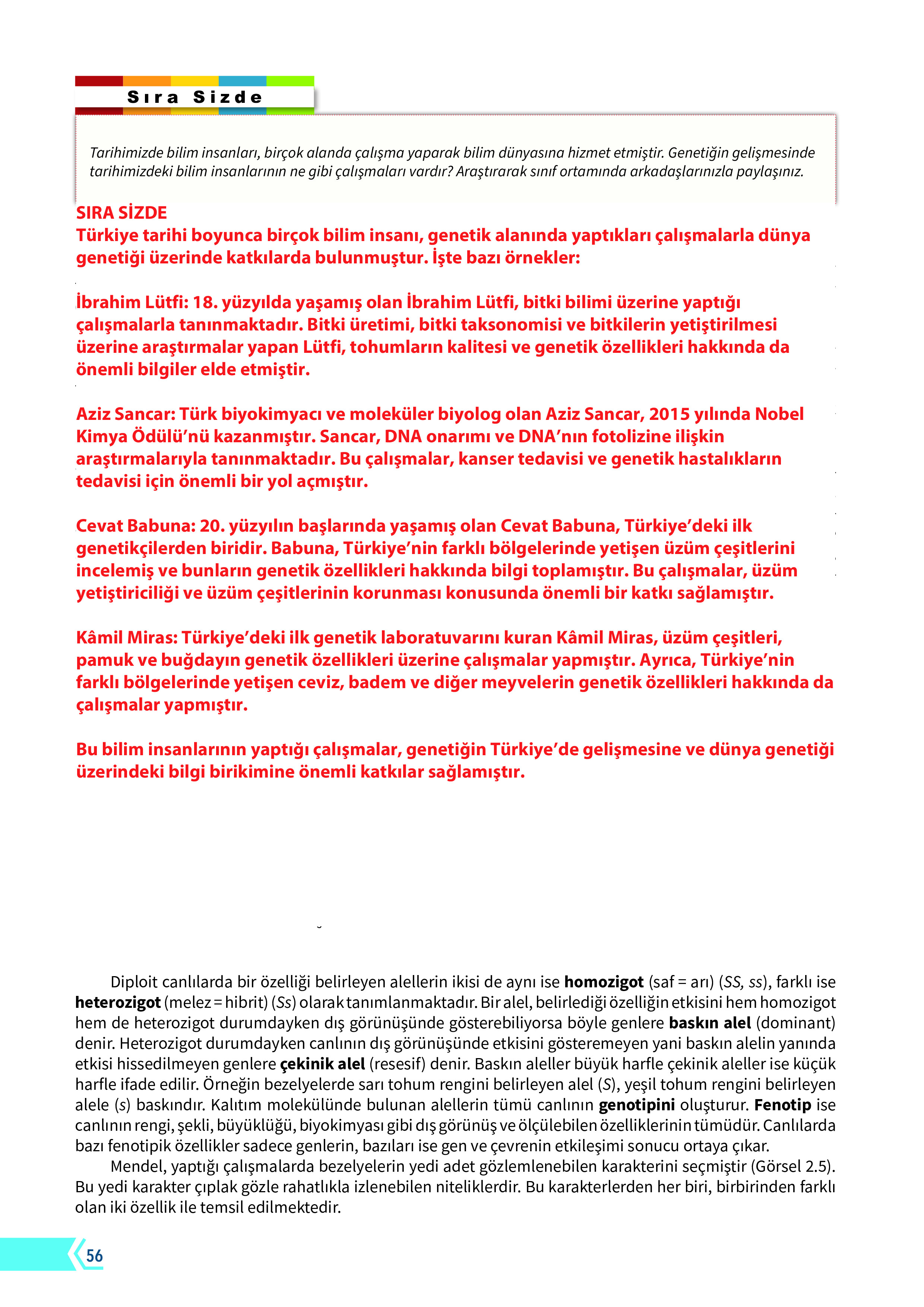 10. Sınıf Meb Yayınları Fen Lisesi Biyoloji Ders Kitabı Sayfa 56 Cevapları 10. Sınıf Meb Yayınları Fen Lisesi Biyoloji Ders Kitabı Sayfa 56 Cevapları