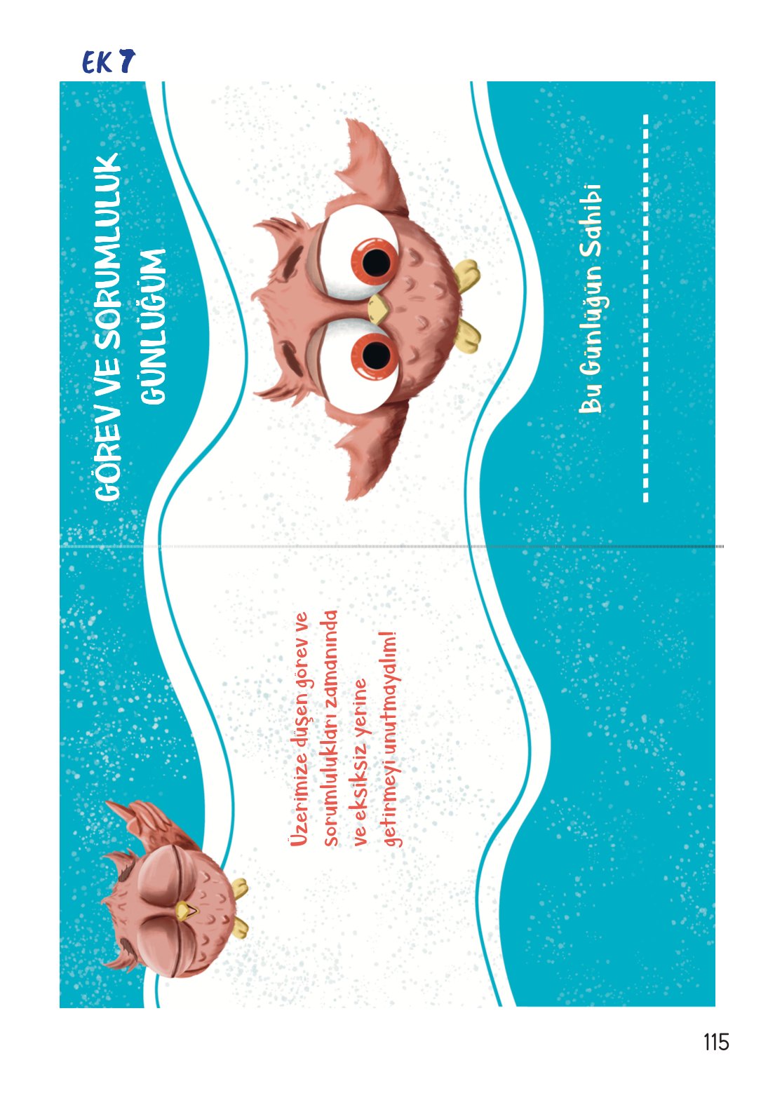 2. Sınıf Hayat Bilgisi 1. Kitap Meb Yayınları Ders Kitabı Sayfa 116 Cevapları
