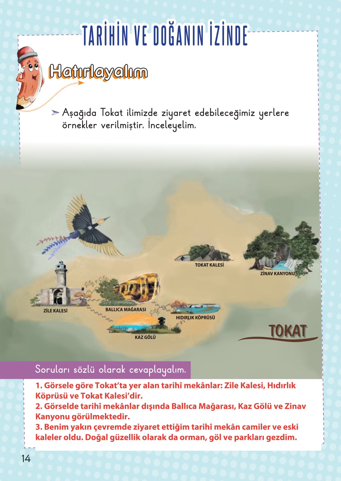 2. Sınıf Hayat Bilgisi 2. Kitap Meb Yayınları Ders Kitabı Sayfa 15 Cevapları
