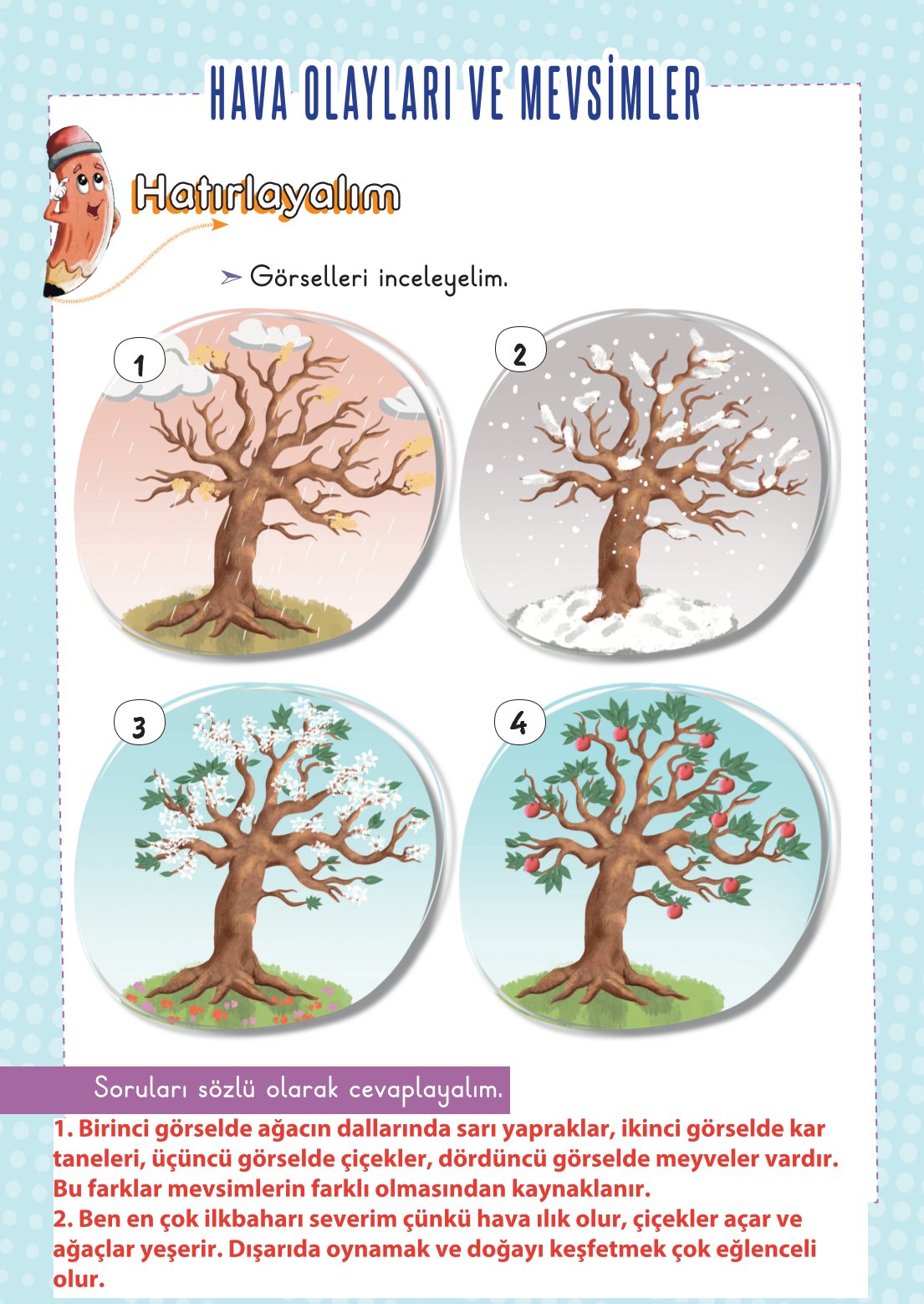 2. Sınıf Hayat Bilgisi 2. Kitap Meb Yayınları Ders Kitabı Sayfa 53 Cevapları