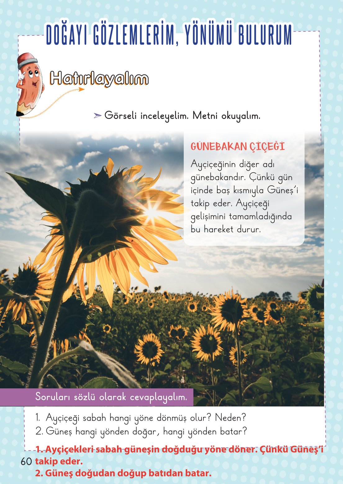 2. Sınıf Hayat Bilgisi 2. Kitap Meb Yayınları Ders Kitabı Sayfa 61 Cevapları