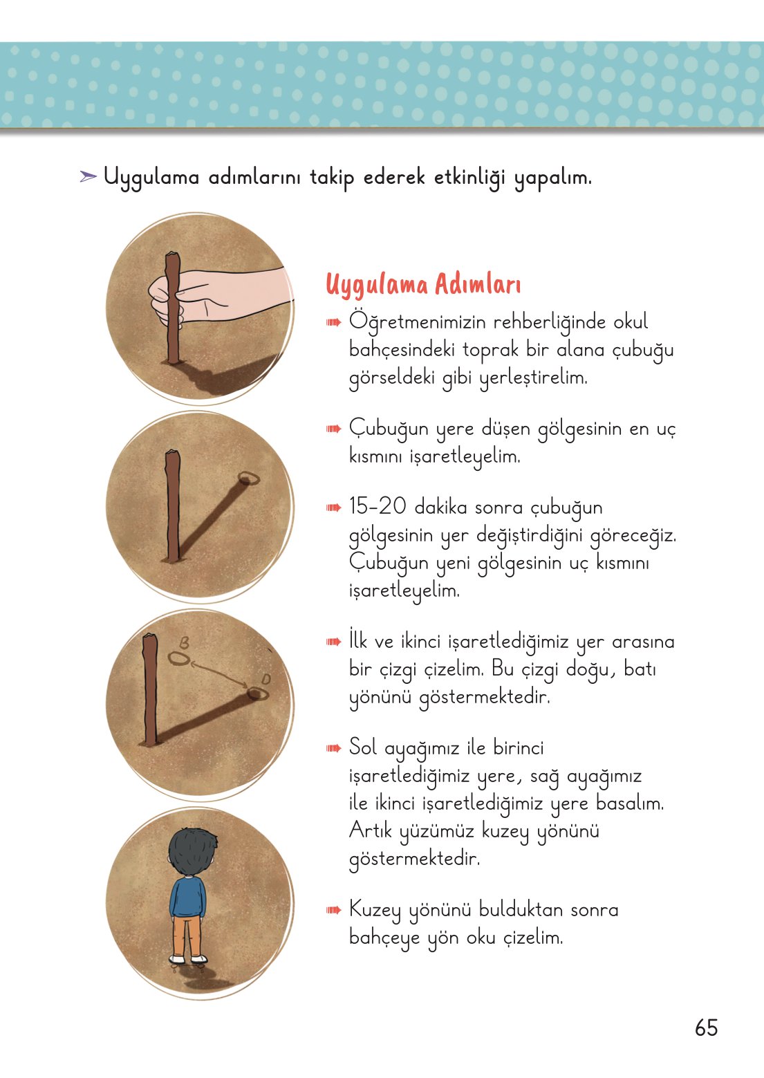 2. Sınıf Hayat Bilgisi 2. Kitap Meb Yayınları Ders Kitabı Sayfa 66 Cevapları