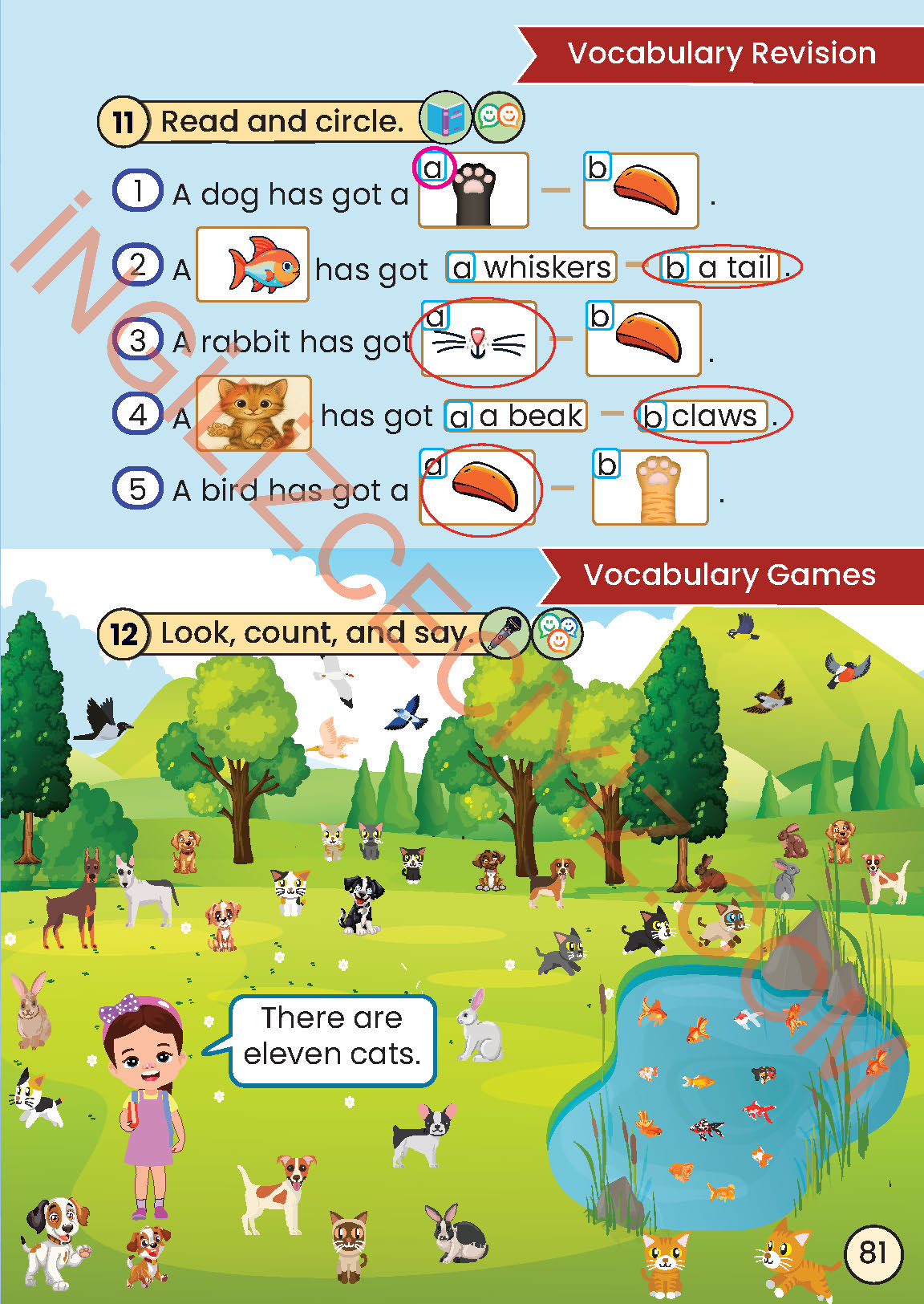 2. Sınıf İngilizce Meb Yayınları Kitabı Sayfa 81 Cevapları