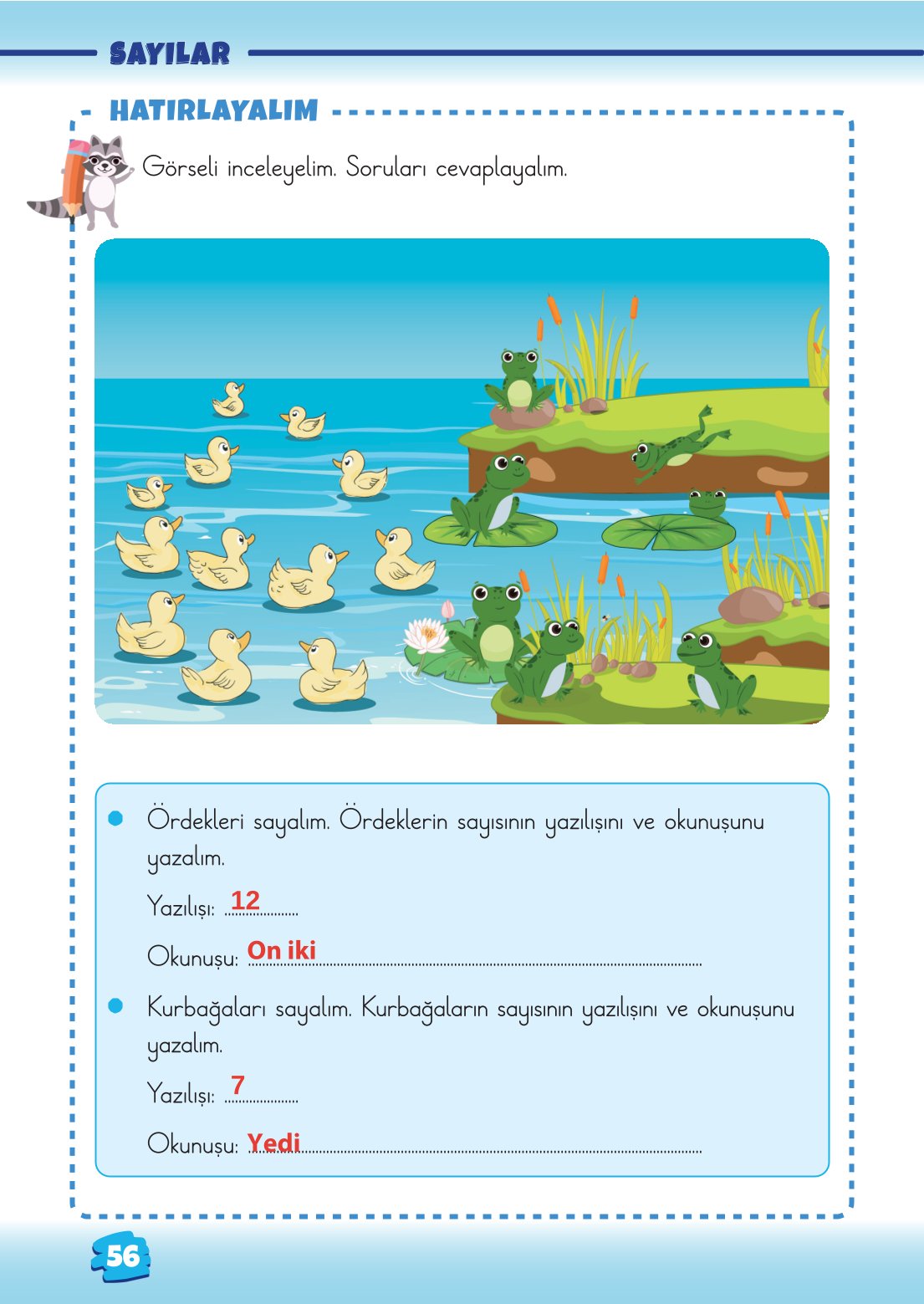 2. Sınıf Matematik 1. Kitap Meb Yayınları Ders Kitabı Sayfa 56 Cevapları