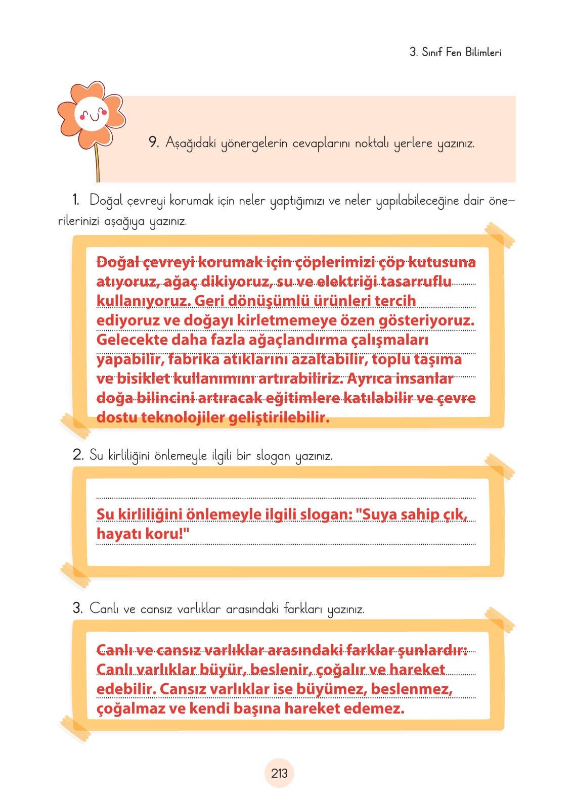 3. Sınıf Fen Bilimleri Cem Yayınları Ders Kitabı Sayfa 213 Cevapları