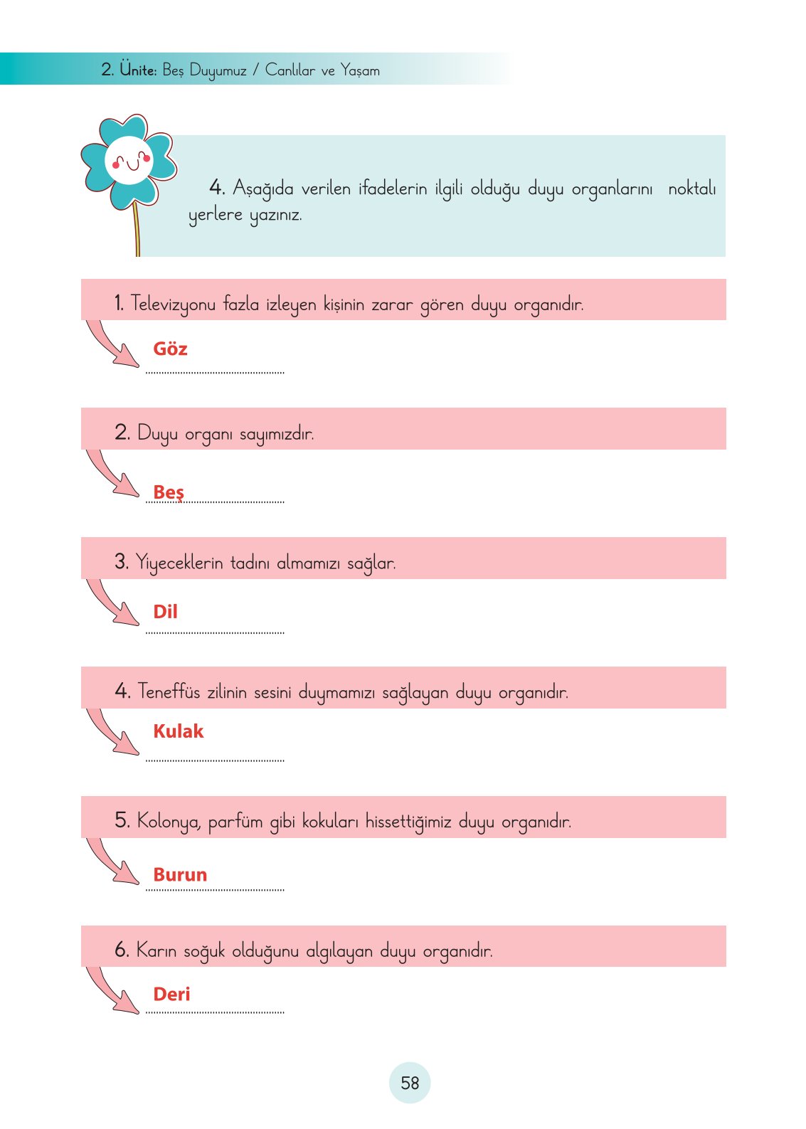 3. Sınıf Fen Bilimleri Cem Yayınları Ders Kitabı Sayfa 58 Cevapları