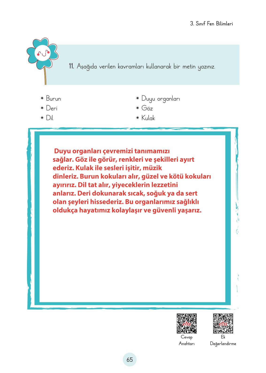 3. Sınıf Fen Bilimleri Cem Yayınları Ders Kitabı Sayfa 65 Cevapları