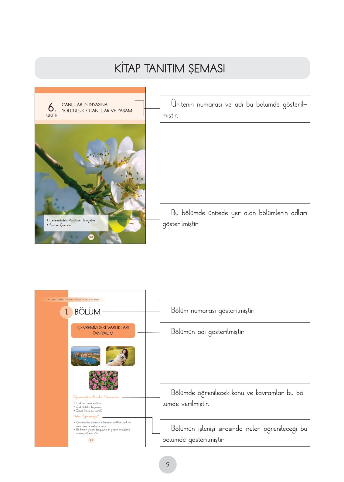 3. Sınıf Fen Bilimleri Cem Yayınları Ders Kitabı Sayfa 9 Cevapları