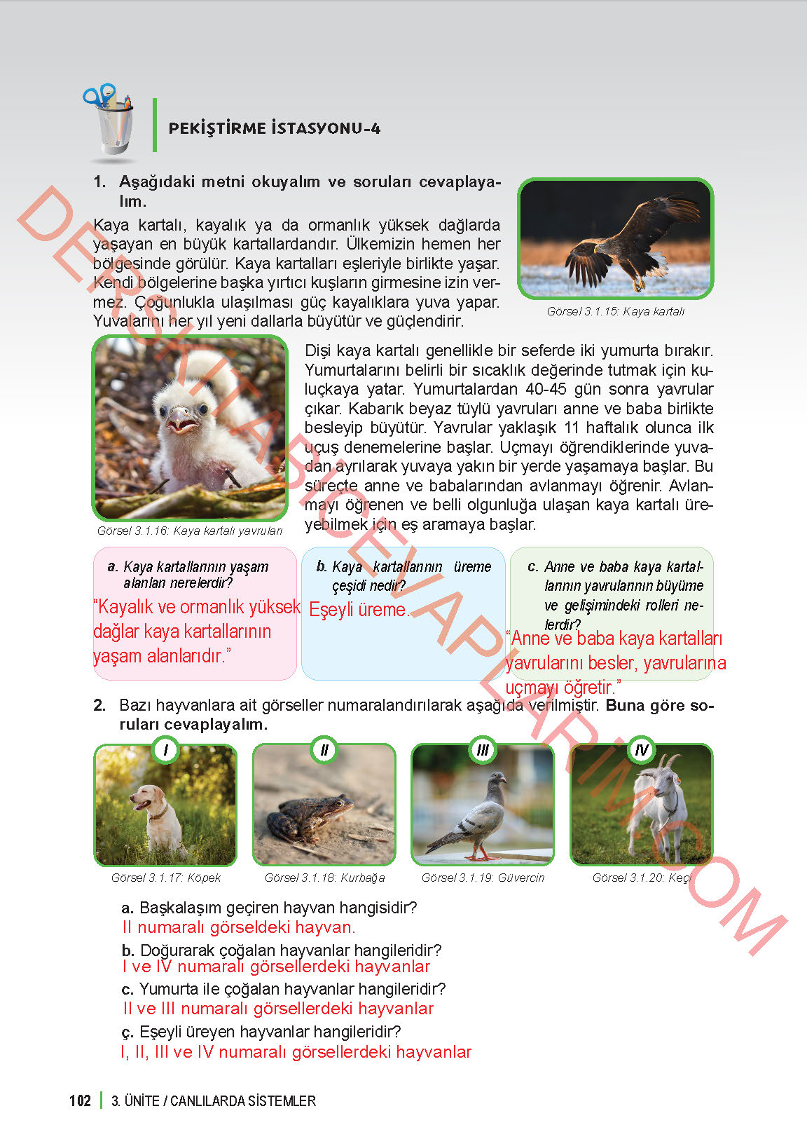 6. Sınıf Fen Bilgisi 1. Kitap Meb Yayınları Ders Kitabı Sayfa 102 Cevapları