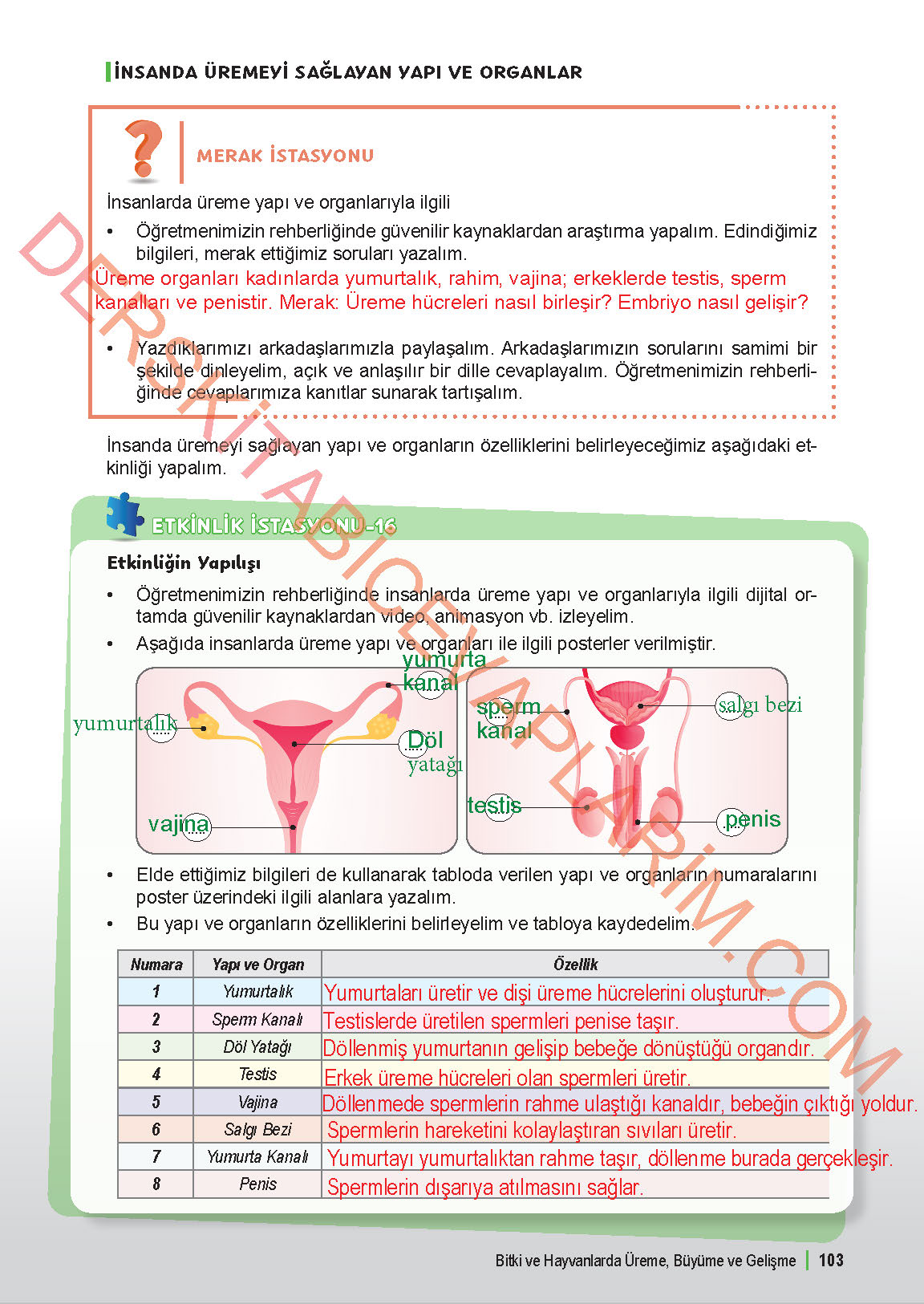 6. Sınıf Fen Bilgisi 1. Kitap Meb Yayınları Ders Kitabı Sayfa 103 Cevapları