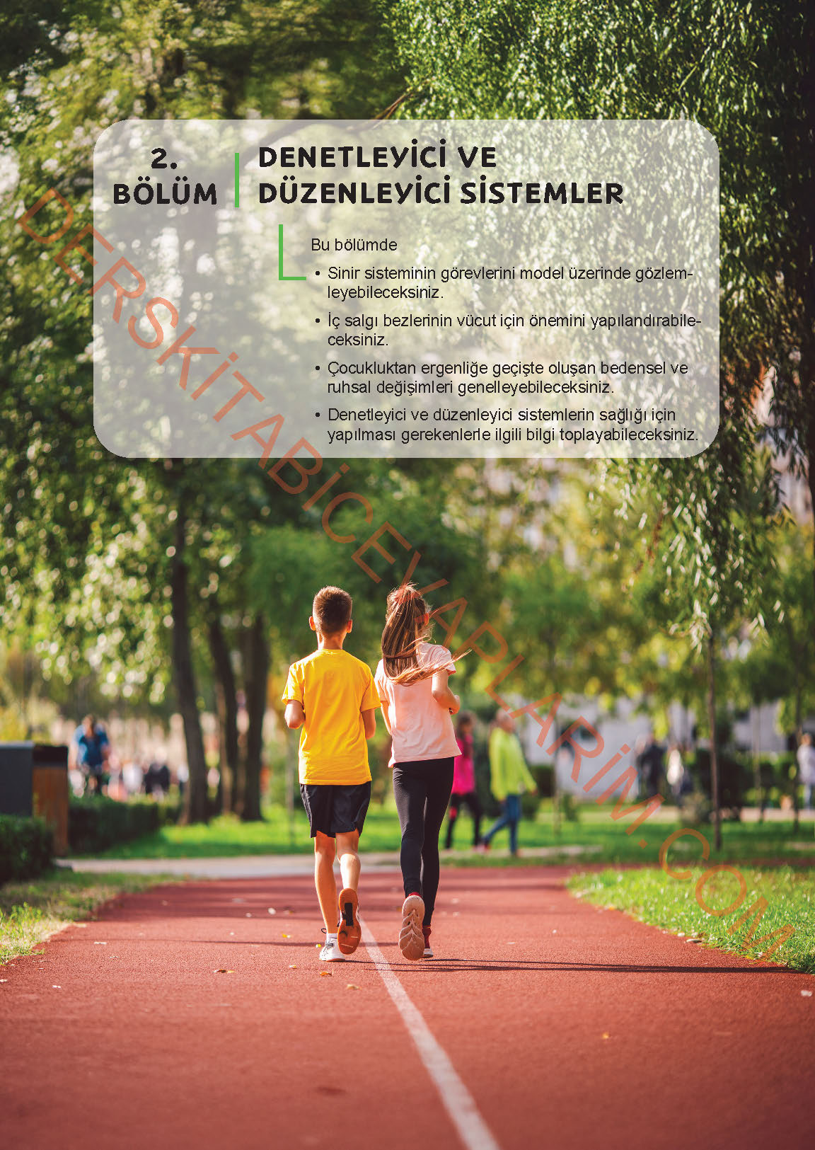 6. Sınıf Fen Bilgisi 1. Kitap Meb Yayınları Ders Kitabı Sayfa 108 Cevapları