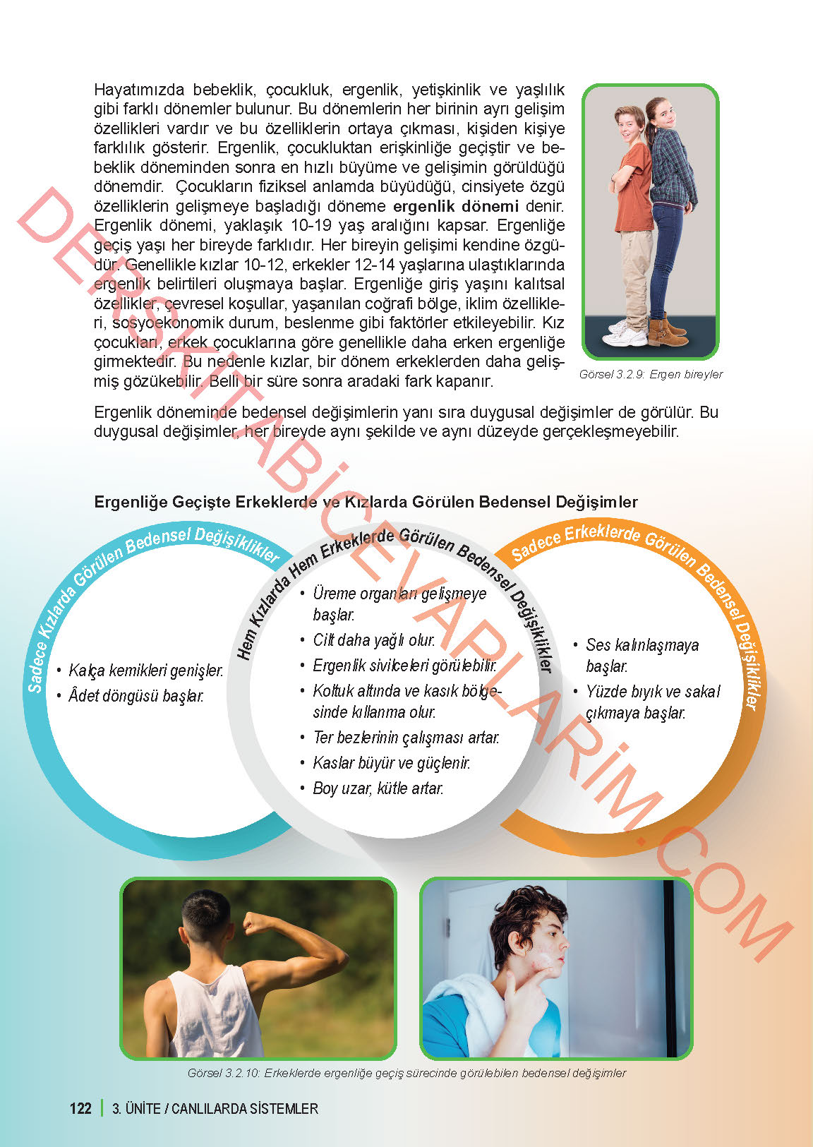 6. Sınıf Fen Bilgisi 1. Kitap Meb Yayınları Ders Kitabı Sayfa 122 Cevapları