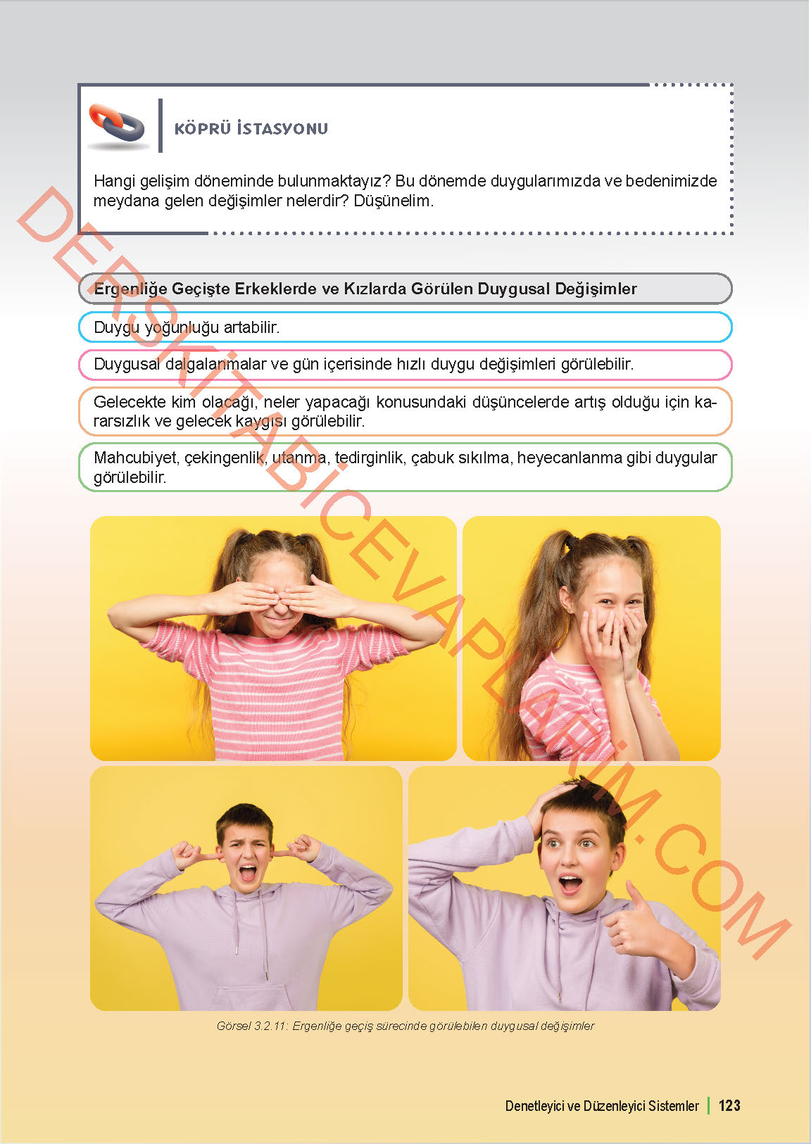 6. Sınıf Fen Bilgisi 1. Kitap Meb Yayınları Ders Kitabı Sayfa 123 Cevapları