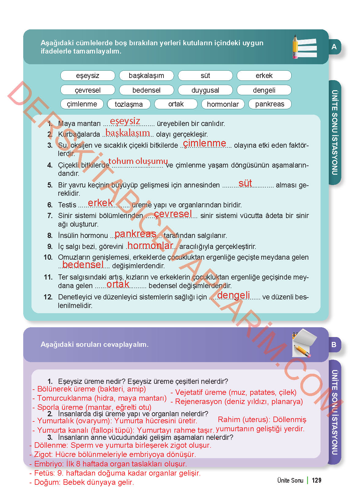 6. Sınıf Fen Bilgisi 1. Kitap Meb Yayınları Ders Kitabı Sayfa 129 Cevapları
