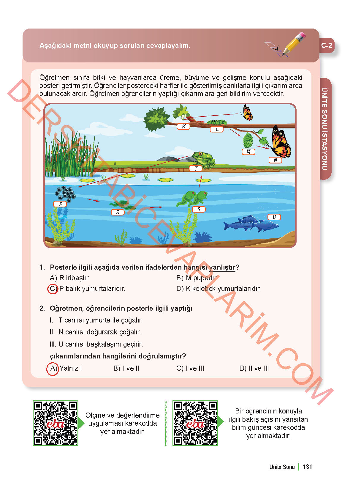 6. Sınıf Fen Bilgisi 1. Kitap Meb Yayınları Ders Kitabı Sayfa 131 Cevapları