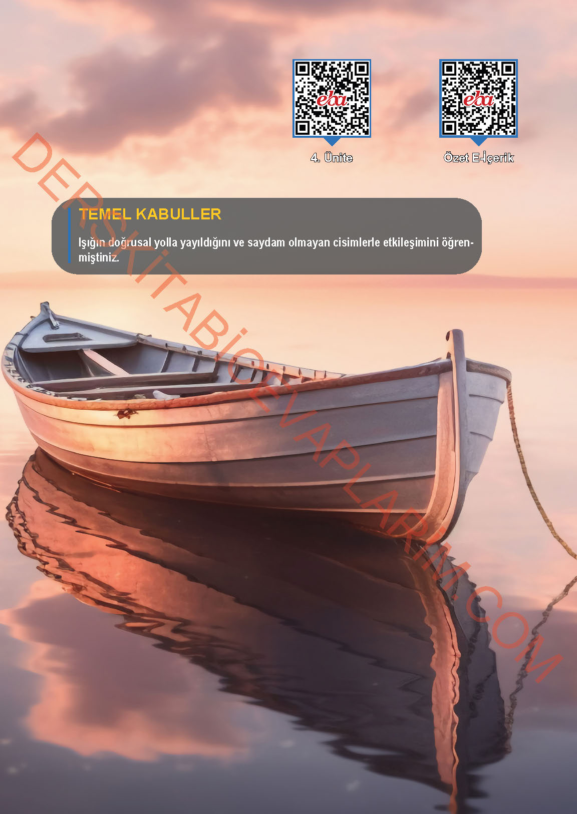 6. Sınıf Fen Bilgisi 1. Kitap Meb Yayınları Ders Kitabı Sayfa 133 Cevapları
