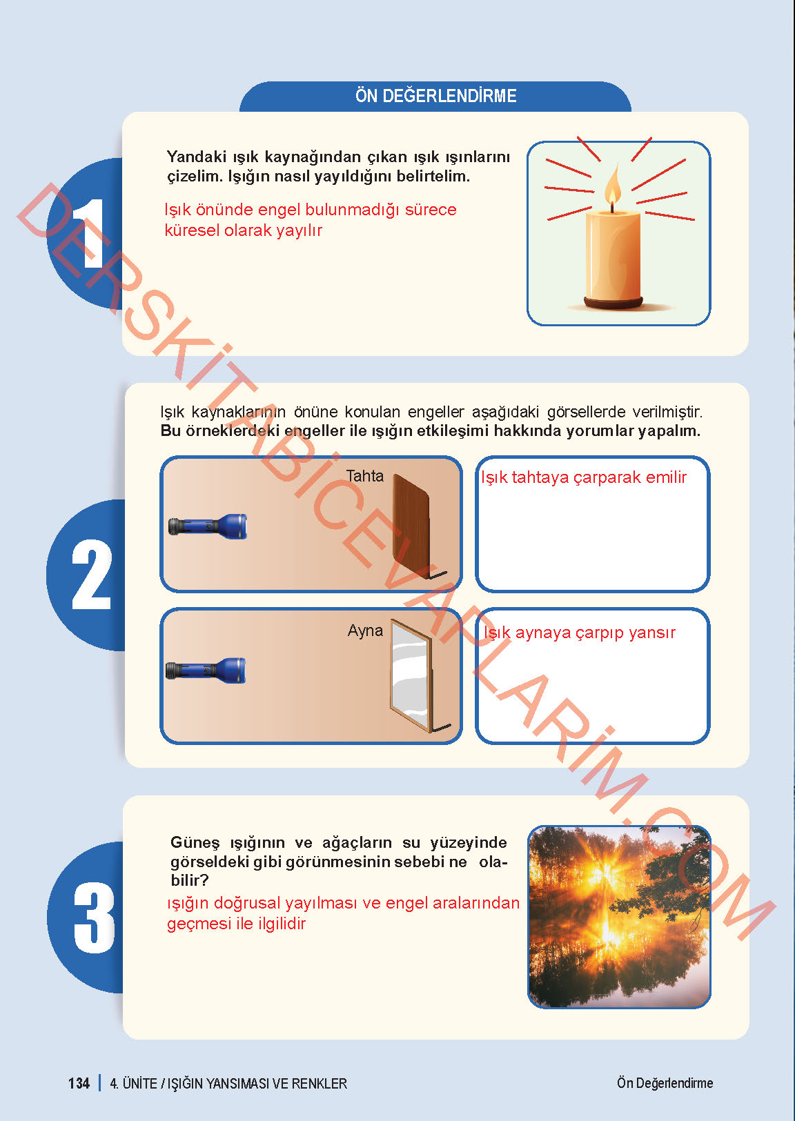 6. Sınıf Fen Bilgisi 1. Kitap Meb Yayınları Ders Kitabı Sayfa 134 Cevapları