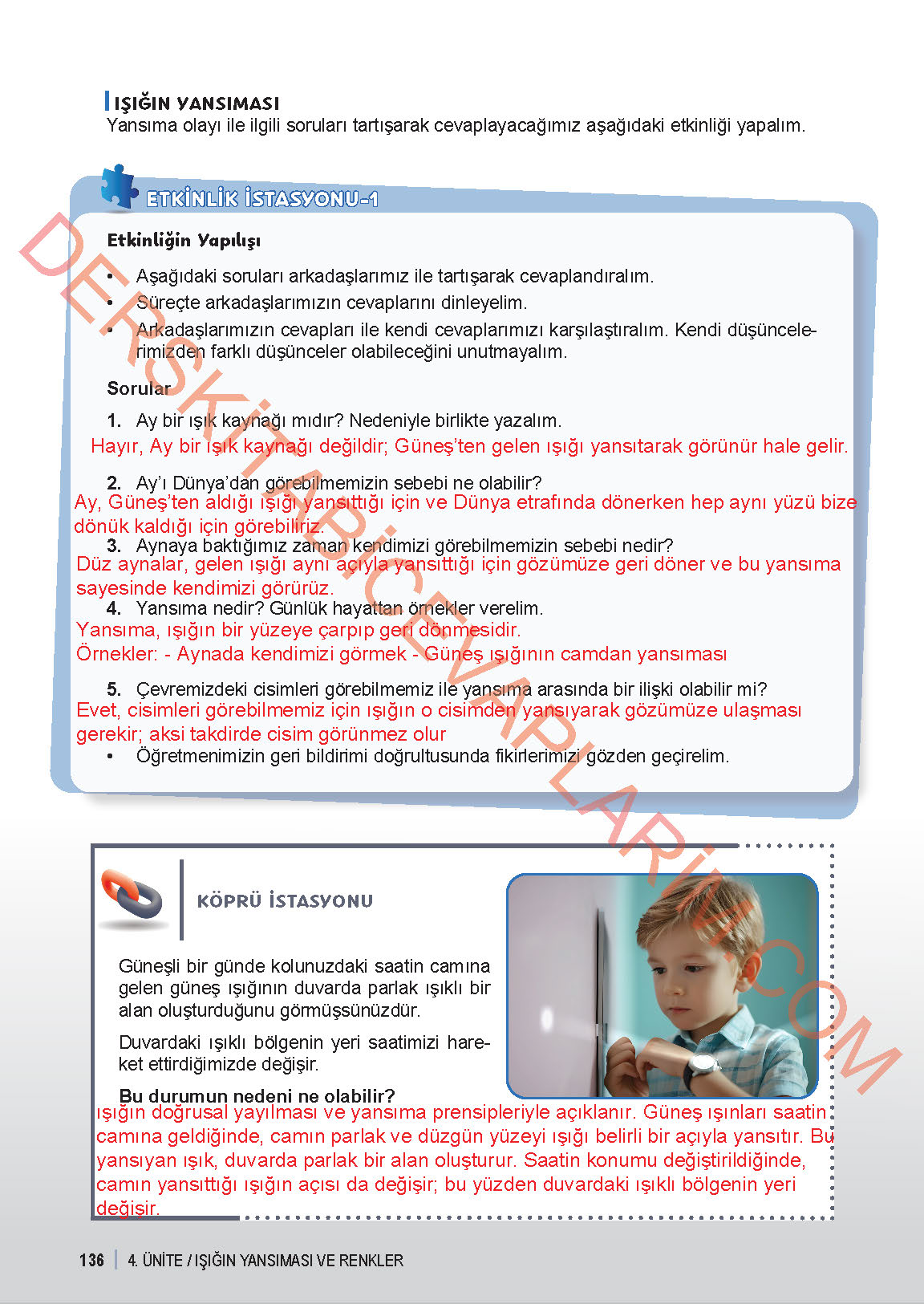 6. Sınıf Fen Bilgisi 1. Kitap Meb Yayınları Ders Kitabı Sayfa 136 Cevapları