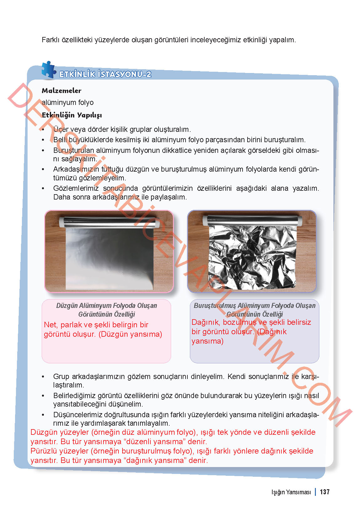 6. Sınıf Fen Bilgisi 1. Kitap Meb Yayınları Ders Kitabı Sayfa 137 Cevapları