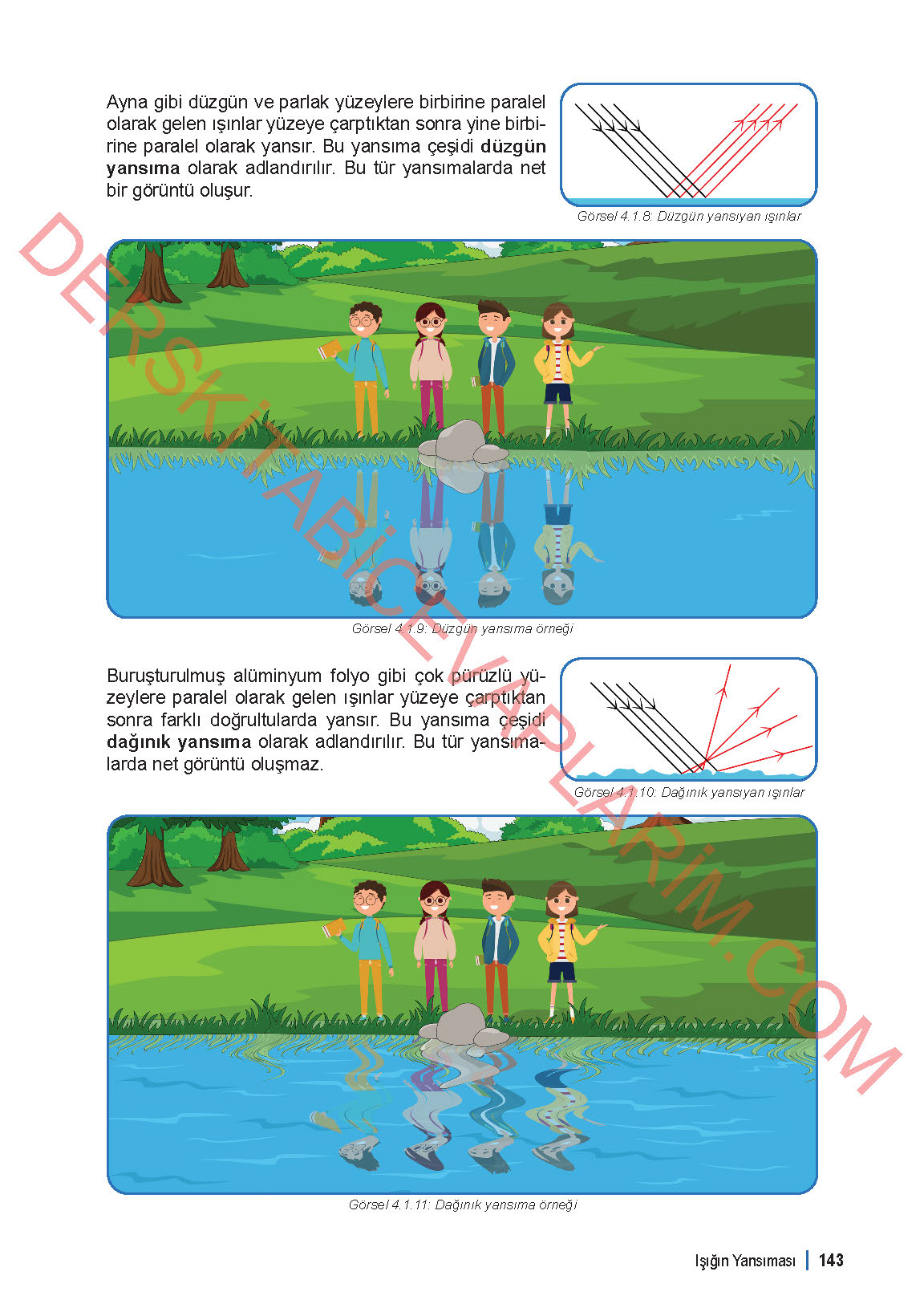 6. Sınıf Fen Bilgisi 1. Kitap Meb Yayınları Ders Kitabı Sayfa 143 Cevapları