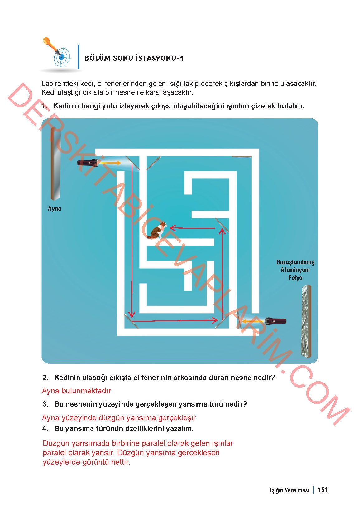 6. Sınıf Fen Bilgisi 1. Kitap Meb Yayınları Ders Kitabı Sayfa 151 Cevapları