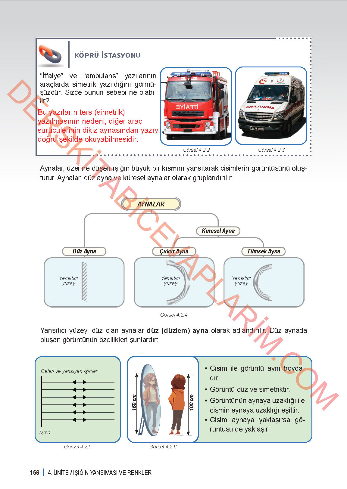 6. Sınıf Fen Bilgisi 1. Kitap Meb Yayınları Ders Kitabı Sayfa 156 Cevapları