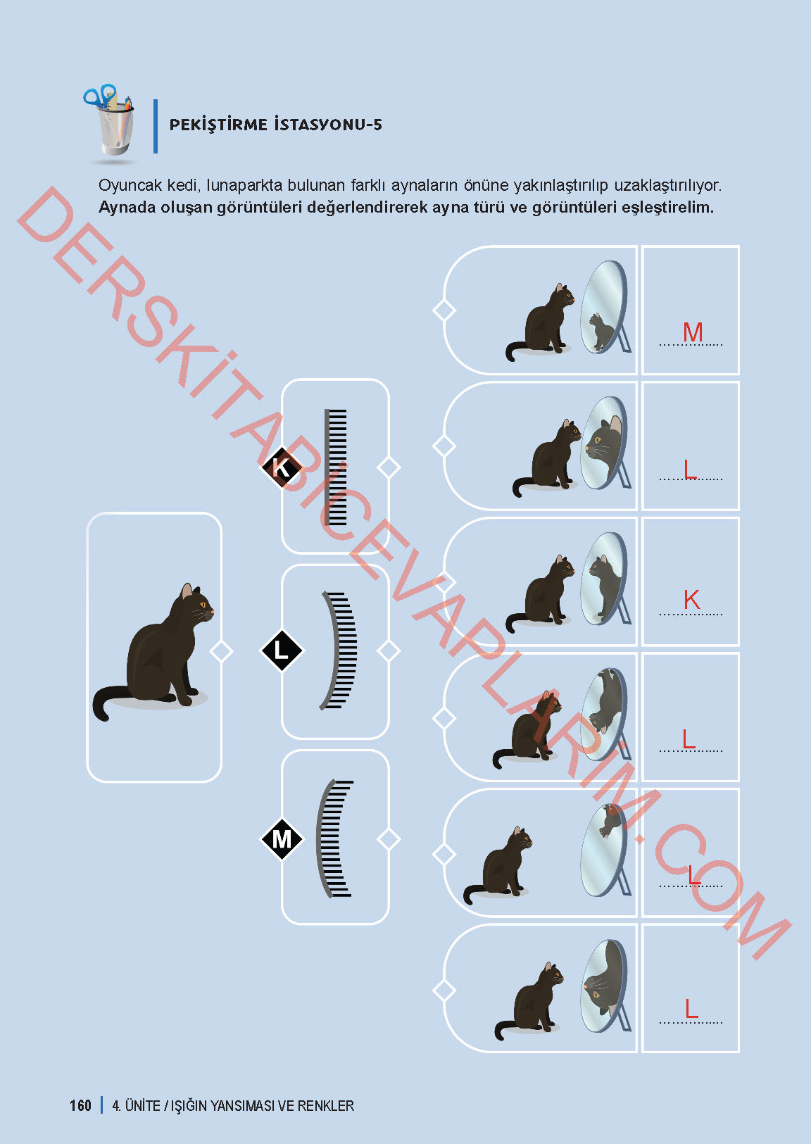 6. Sınıf Fen Bilgisi 1. Kitap Meb Yayınları Ders Kitabı Sayfa 160 Cevapları