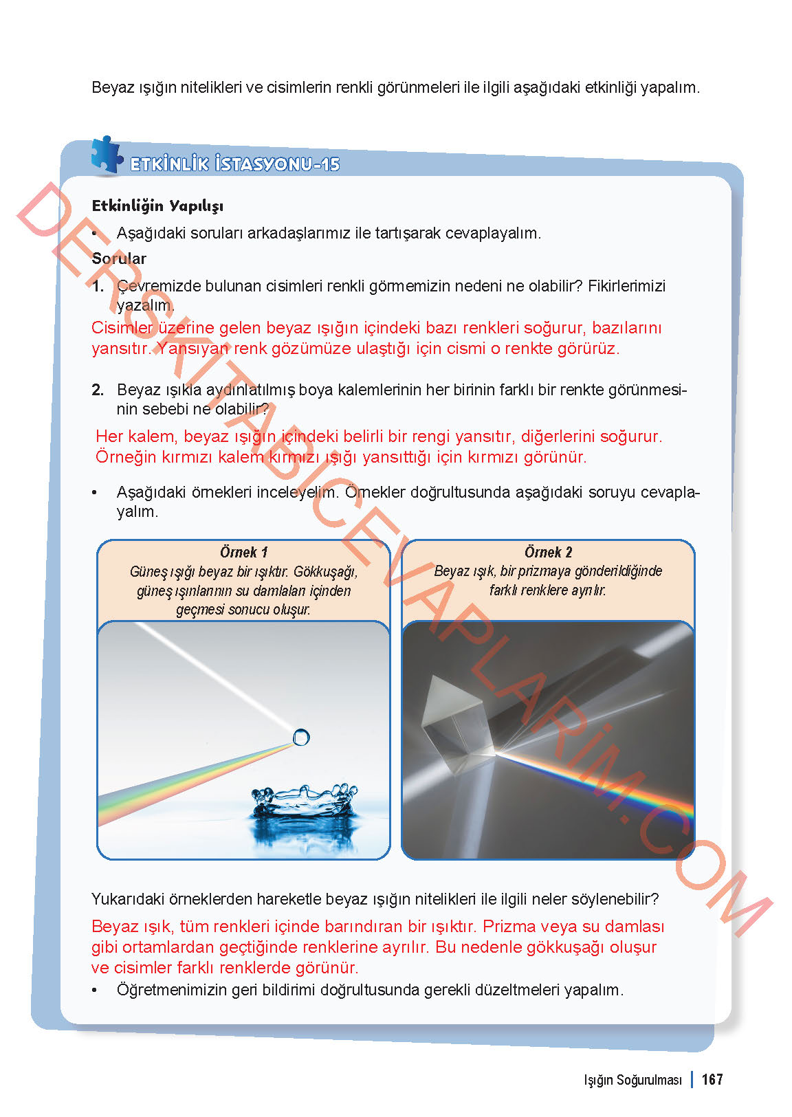 6. Sınıf Fen Bilgisi 1. Kitap Meb Yayınları Ders Kitabı Sayfa 167 Cevapları
