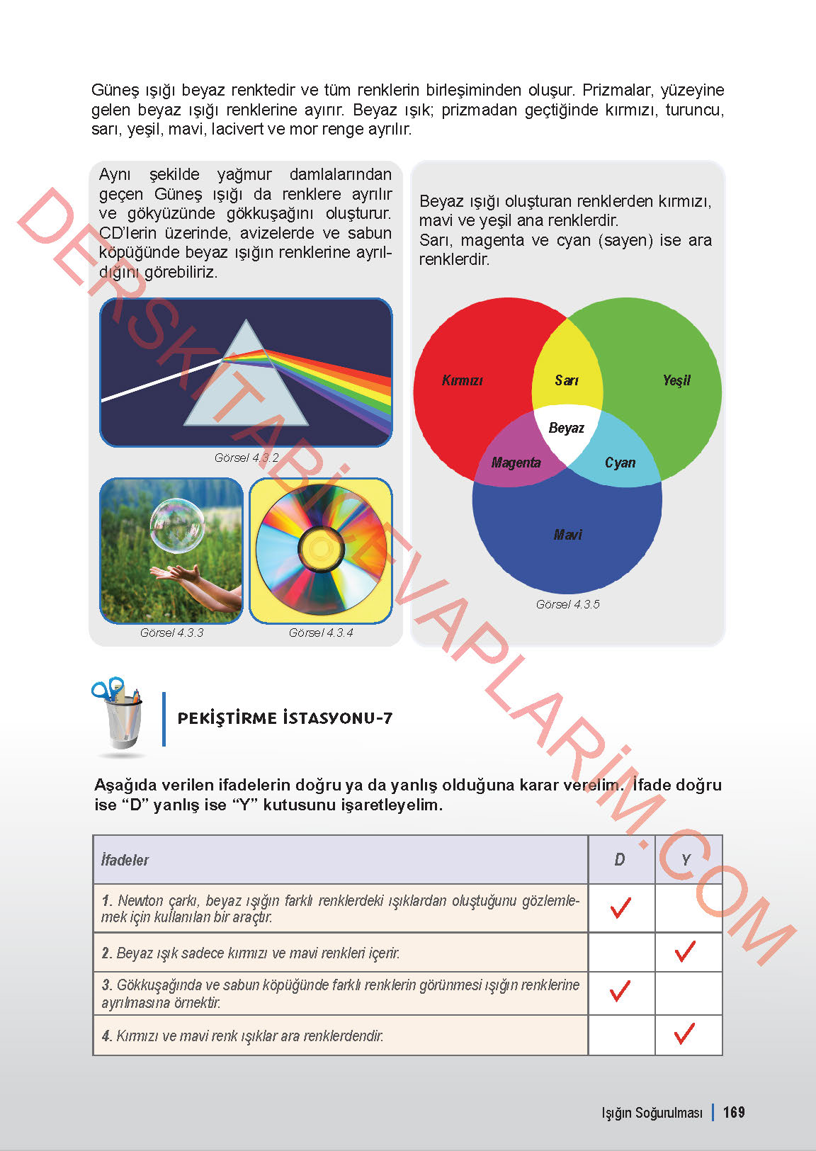 6. Sınıf Fen Bilgisi 1. Kitap Meb Yayınları Ders Kitabı Sayfa 169 Cevapları