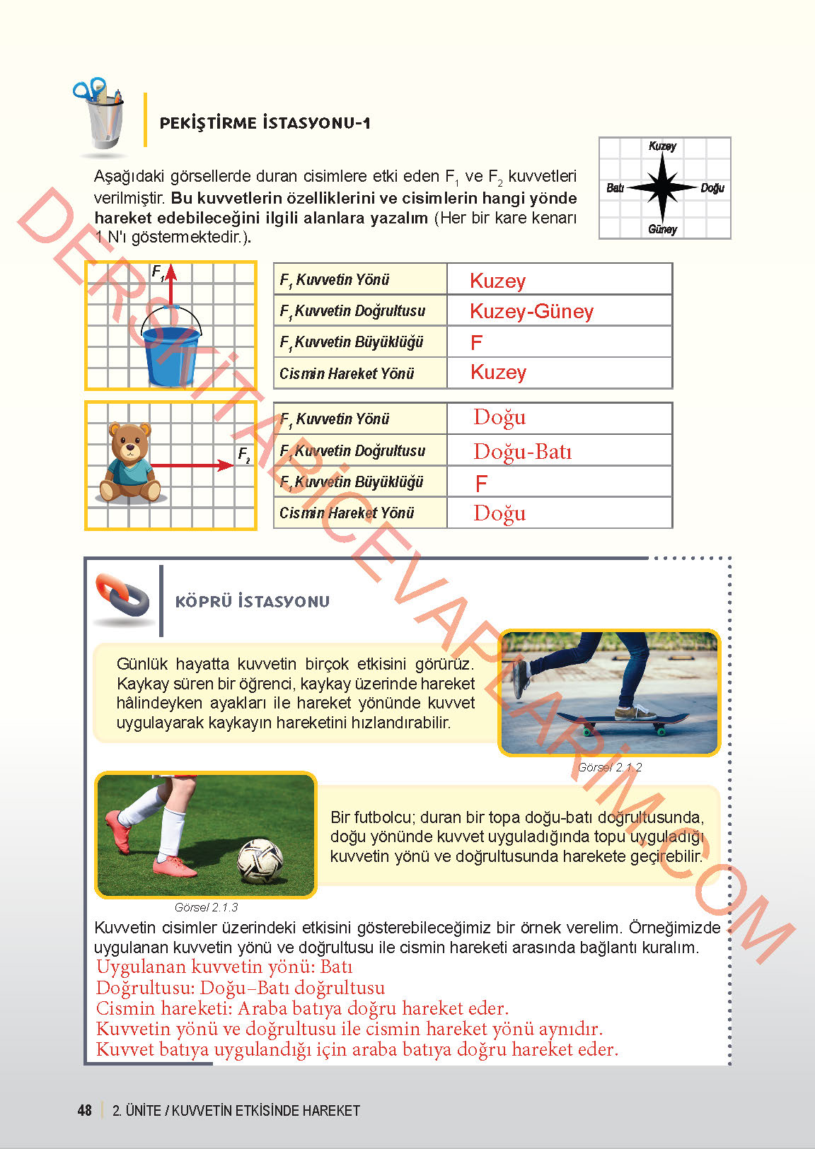 6. Sınıf Fen Bilgisi 1. Kitap Meb Yayınları Ders Kitabı Sayfa 48 Cevapları