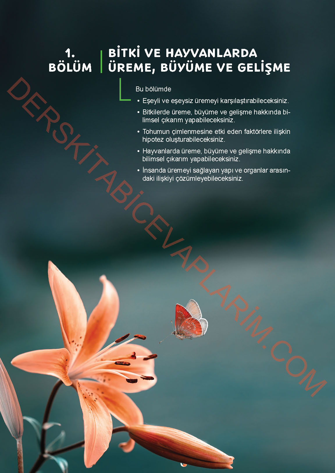 6. Sınıf Fen Bilgisi 1. Kitap Meb Yayınları Ders Kitabı Sayfa 82 Cevapları