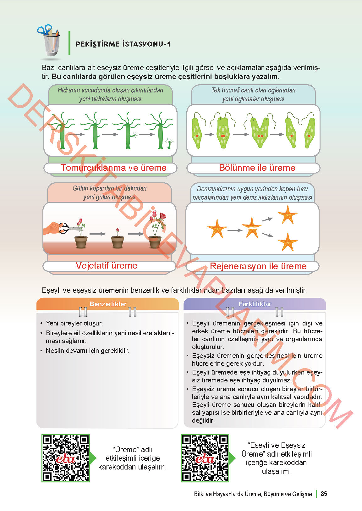 6. Sınıf Fen Bilgisi 1. Kitap Meb Yayınları Ders Kitabı Sayfa 85 Cevapları