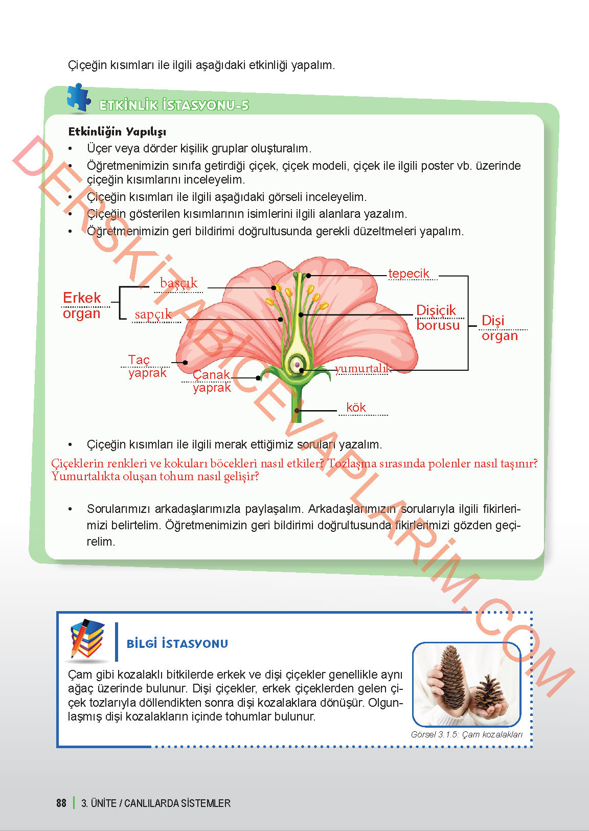 6. Sınıf Fen Bilgisi 1. Kitap Meb Yayınları Ders Kitabı Sayfa 88 Cevapları