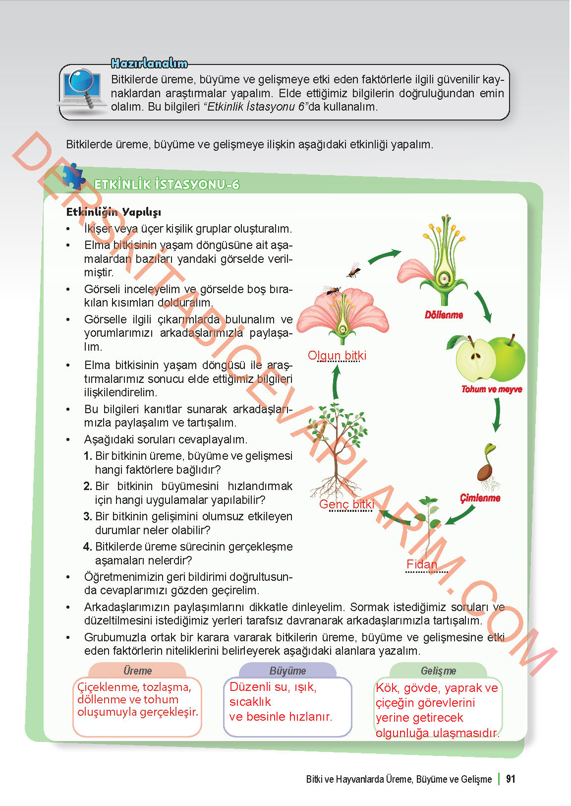 6. Sınıf Fen Bilgisi 1. Kitap Meb Yayınları Ders Kitabı Sayfa 91 Cevapları