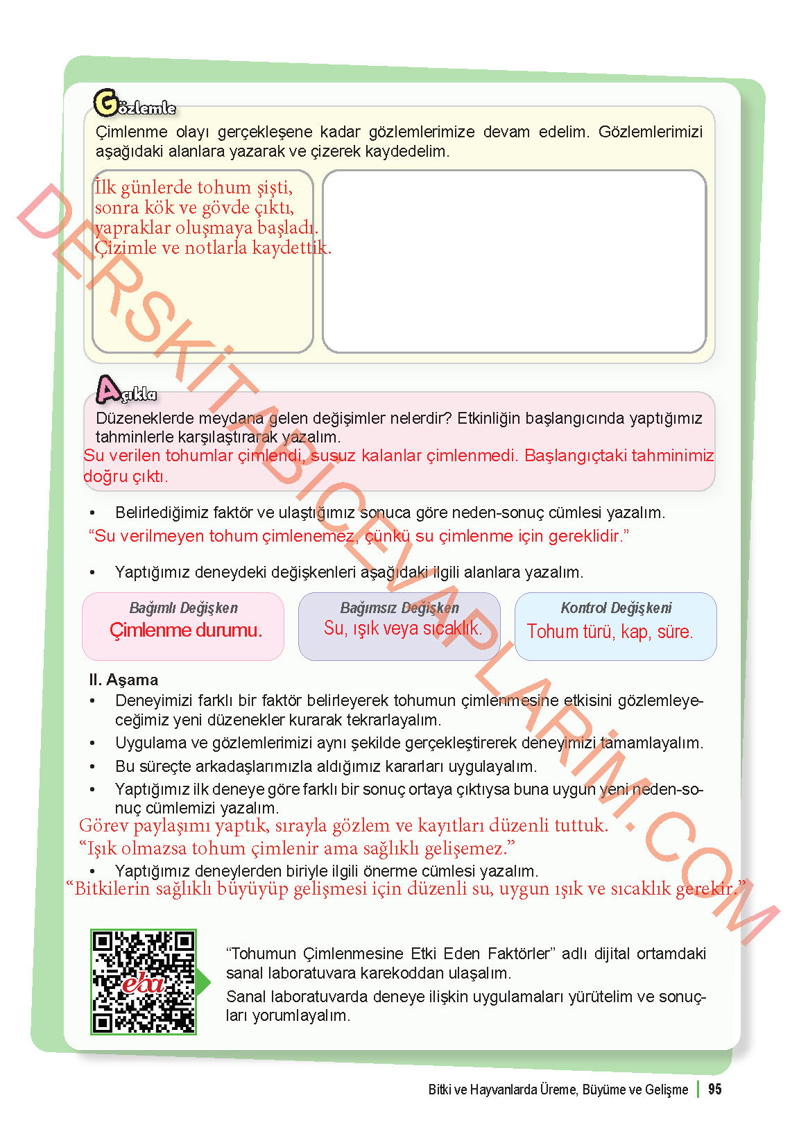 6. Sınıf Fen Bilgisi 1. Kitap Meb Yayınları Ders Kitabı Sayfa 95 Cevapları