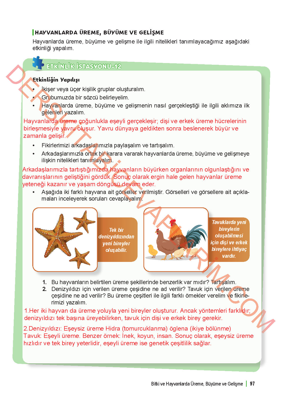 6. Sınıf Fen Bilgisi 1. Kitap Meb Yayınları Ders Kitabı Sayfa 97 Cevapları