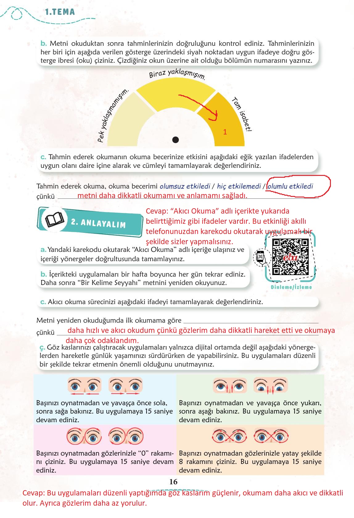 6. Sınıf Türkçe 1. Kitap Meb Yayınları Ders Kitabı Sayfa 17 Cevapları