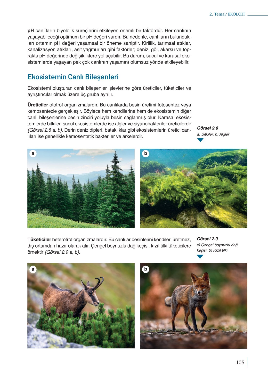 10. Sınıf Meb Yayınları Biyoloji Ders Kitabı Sayfa 105 Cevapları 10. Sınıf Meb Yayınları Biyoloji Ders Kitabı Sayfa 105 Cevapları