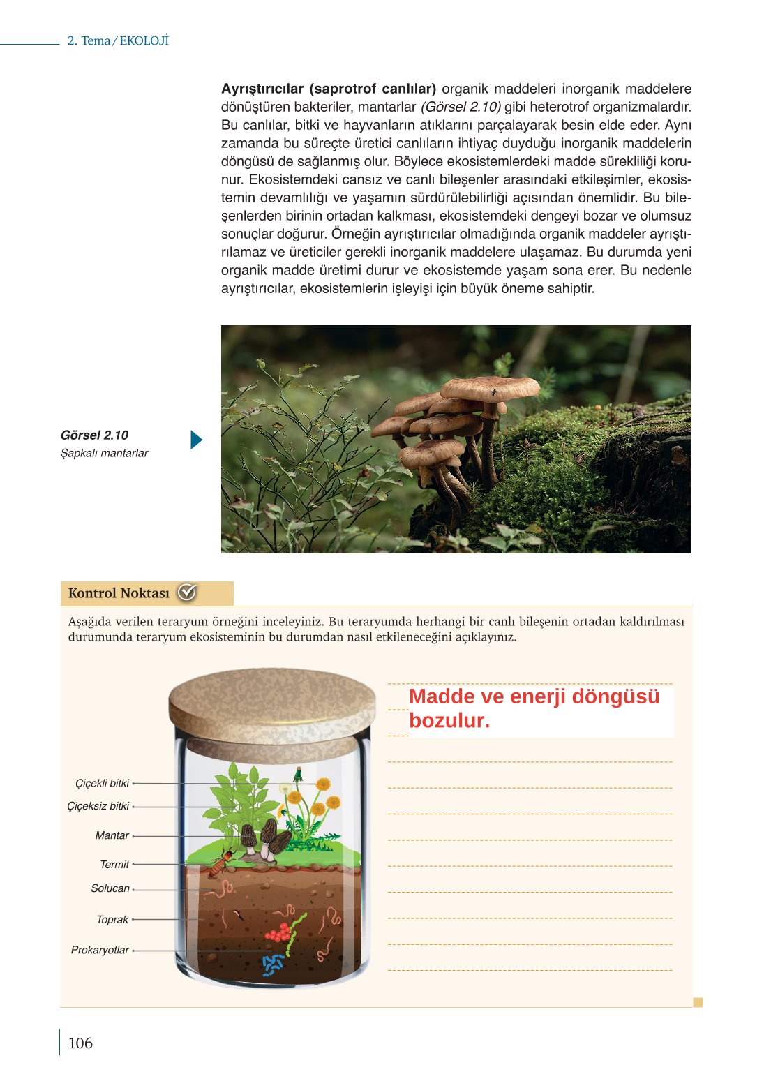 10. Sınıf Meb Yayınları Biyoloji Ders Kitabı Sayfa 106 Cevapları 10. Sınıf Meb Yayınları Biyoloji Ders Kitabı Sayfa 106 Cevapları