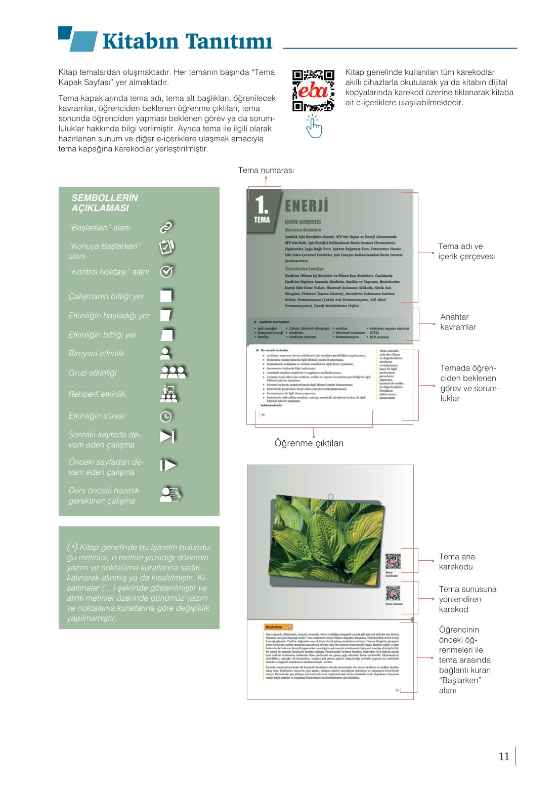 10. Sınıf Meb Yayınları Biyoloji Ders Kitabı Sayfa 11 Cevapları 10. Sınıf Meb Yayınları Biyoloji Ders Kitabı Sayfa 11 Cevapları