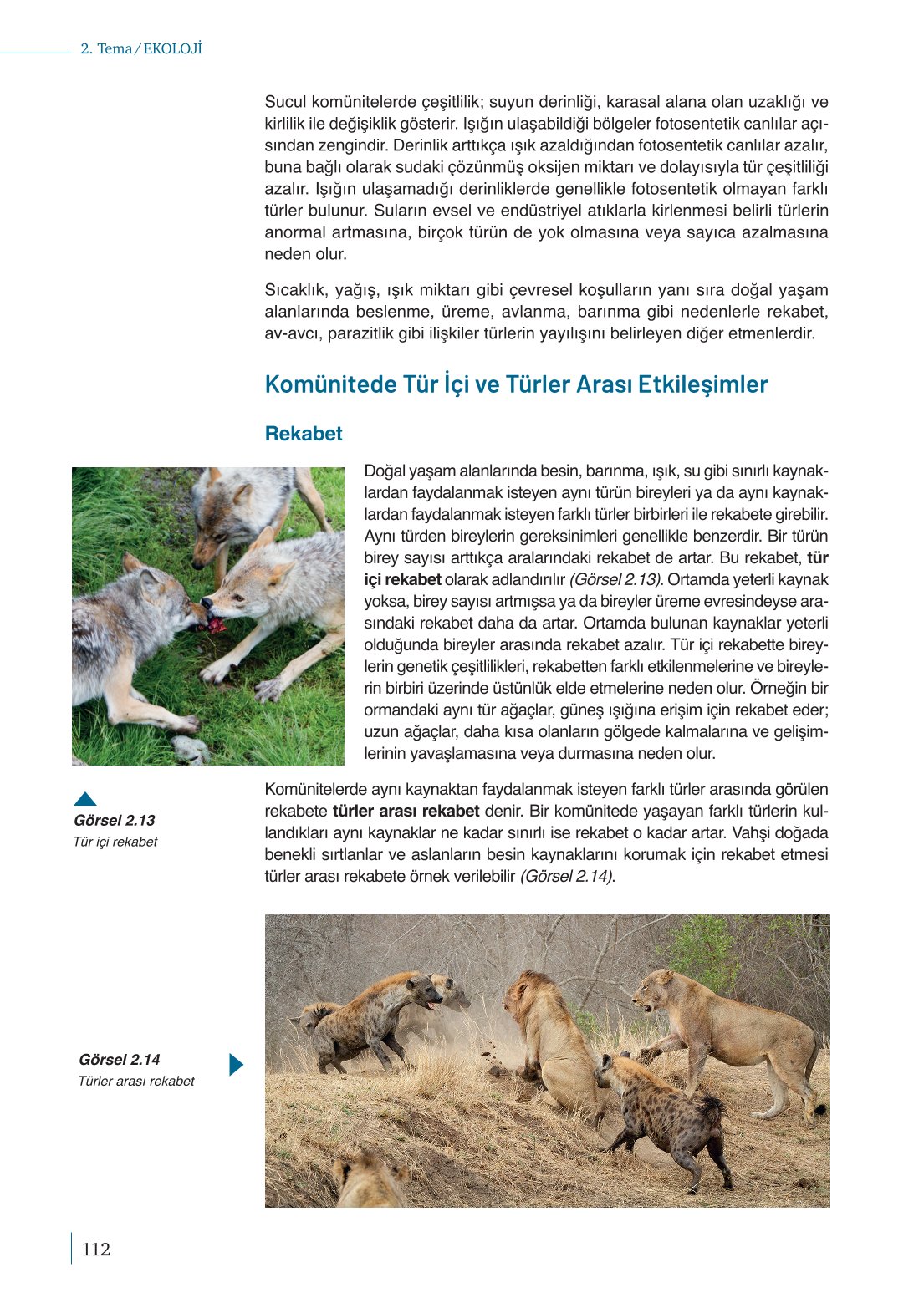 10. Sınıf Meb Yayınları Biyoloji Ders Kitabı Sayfa 112 Cevapları 10. Sınıf Meb Yayınları Biyoloji Ders Kitabı Sayfa 112 Cevapları