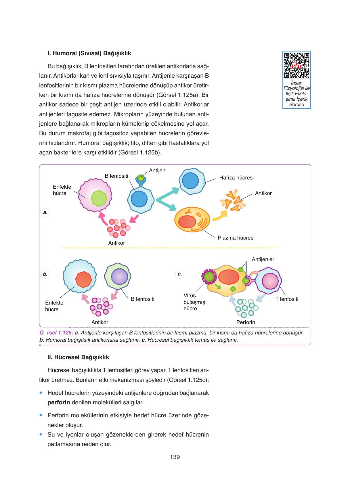 11. Sınıf Tutku Yayıncılık Biyoloji Ders Kitabı Sayfa 139 Cevapları