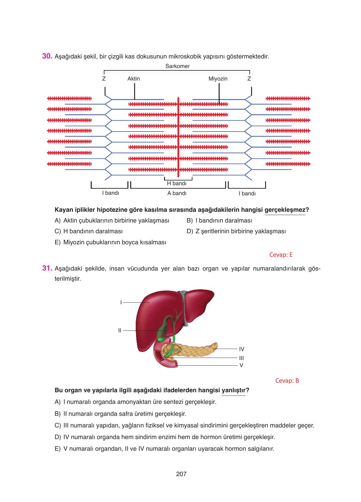 11. Sınıf Tutku Yayıncılık Biyoloji Ders Kitabı Sayfa 207 Cevapları 11. Sınıf Tutku Yayıncılık Biyoloji Ders Kitabı Sayfa 207 Cevapları