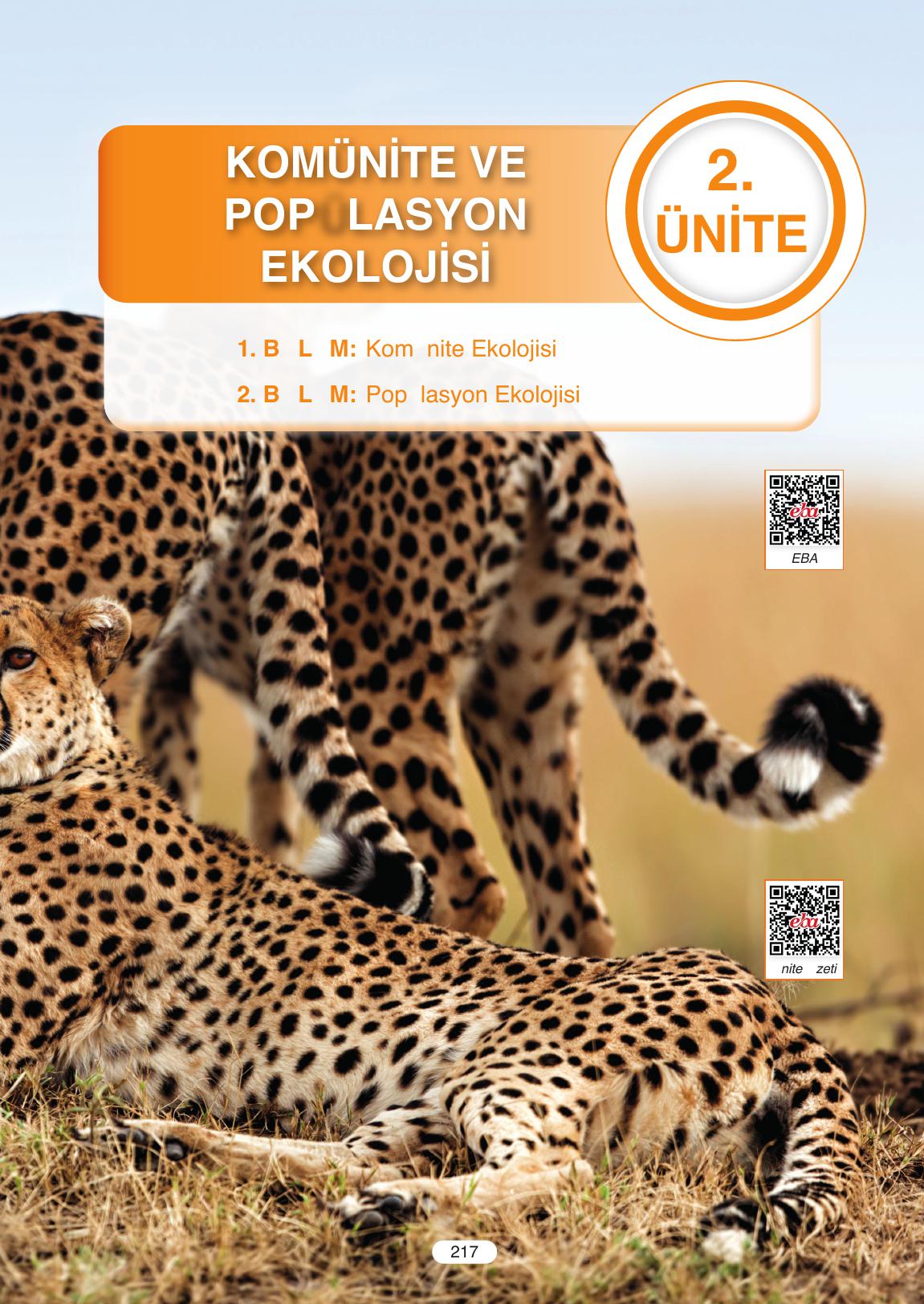 11. Sınıf Tutku Yayıncılık Biyoloji Ders Kitabı Sayfa 217 Cevapları 11. Sınıf Tutku Yayıncılık Biyoloji Ders Kitabı Sayfa 217 Cevapları